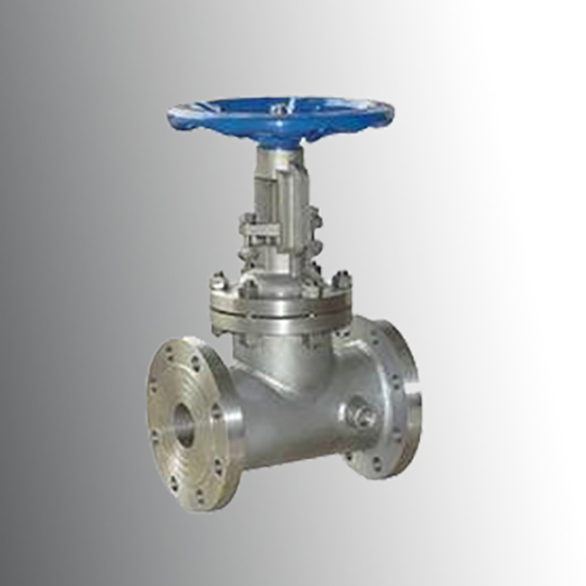 Jacketed flange insulated gate valve