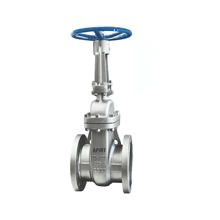 Stainless steel daily standard gate valve