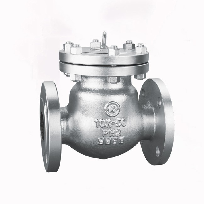 Japanese standard flange check valve