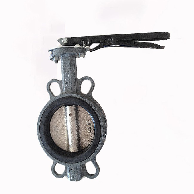 Soft sealed clamp butterfly valve